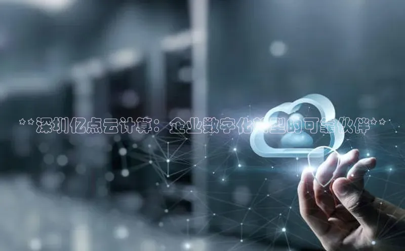 EON体育4百度人工翻译**深圳亿点云计算：企业数字化转型的可靠伙伴**