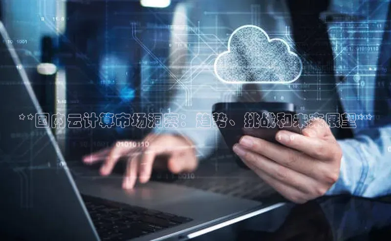EON4雷柏科技**国内云计算市场洞察：趋势、挑战和未来展望**