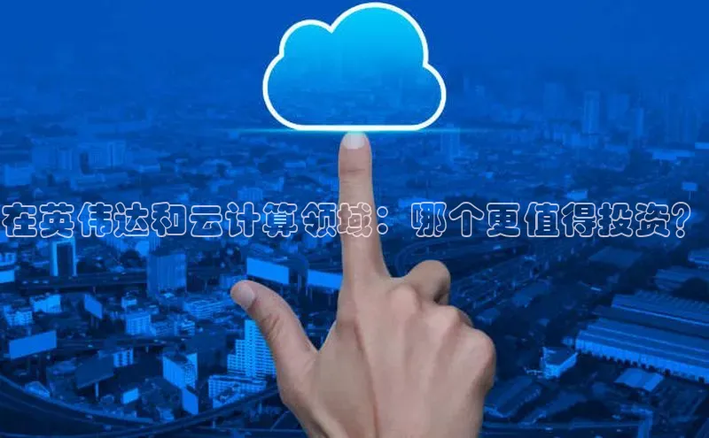 EON4小红书在英伟达和云计算领域：哪个更值得投资？