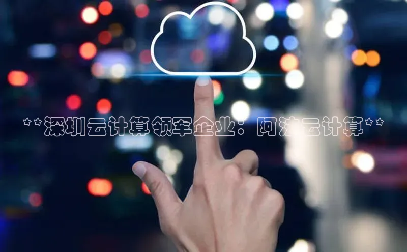 EON4招商诸葛科技**深圳云计算领军企业：阿法云计算**