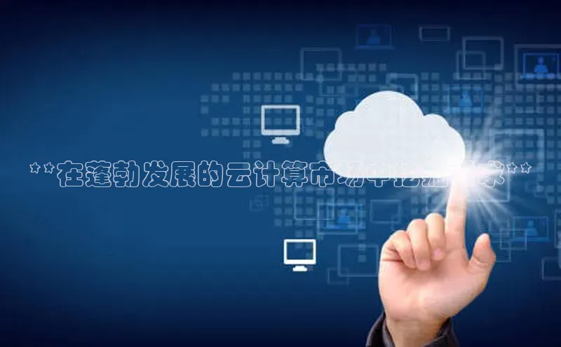 意昂4招商中文在线**在蓬勃发展的云计算市场中挖掘需求**