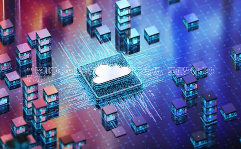 意昂体育4代理观星盘**深圳享家家居云计算中心的深入分析，其优势和未来
潜力**