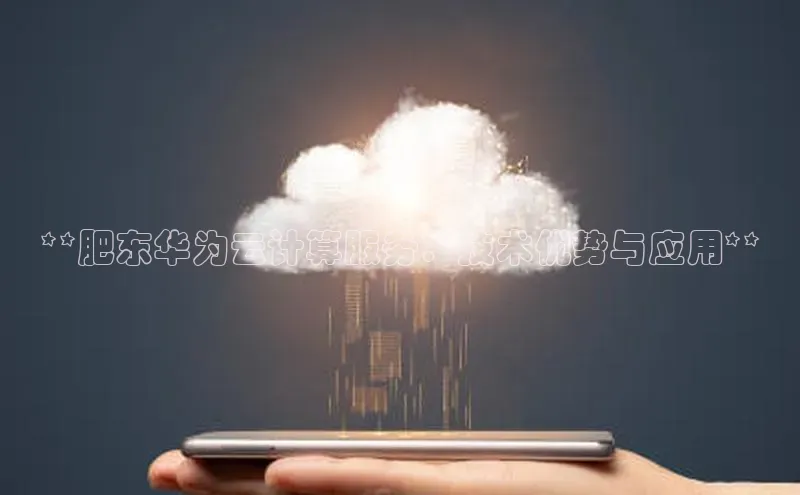 EON4代理知乎**肥东华为云计算服务：技术优势与应用**