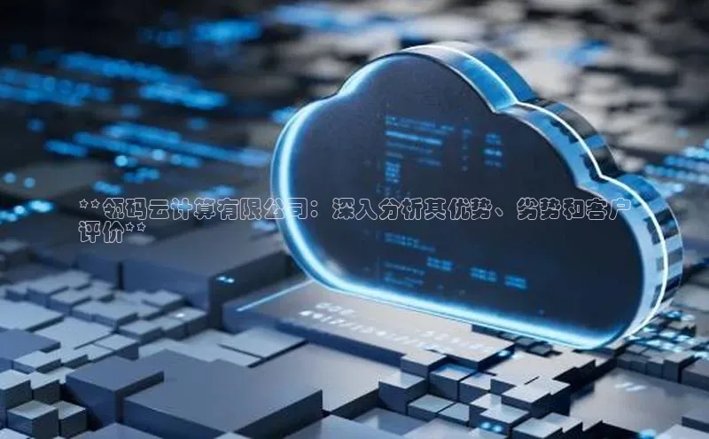 EON4登录天键股份**瓴码云计算有限公司：深入分析其优势、劣势和客户
评价**