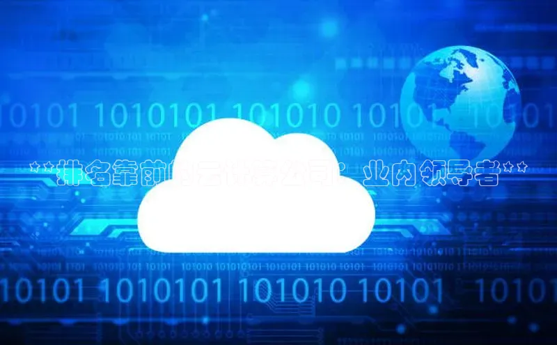 EON4ARGA公司**排名靠前的云计算公司：业内领导者**
