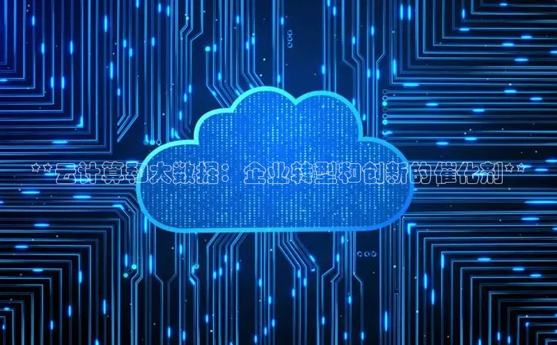 EON4官网百度识图**云计算和大数据：企业转型和创新的催化剂**