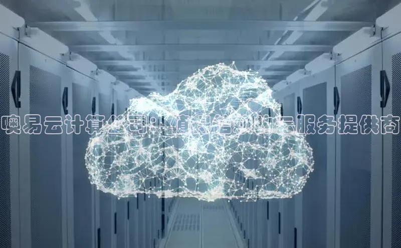 意昂体育4官网百度学术噢易云计算公司：值得信赖的云服务提供商