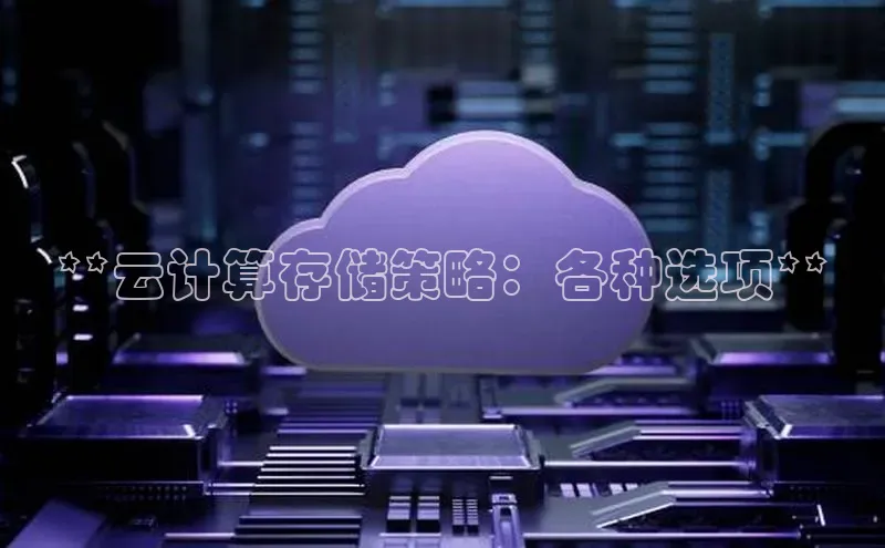 意昂体育4路畅科技**云计算存储策略：各种选项**