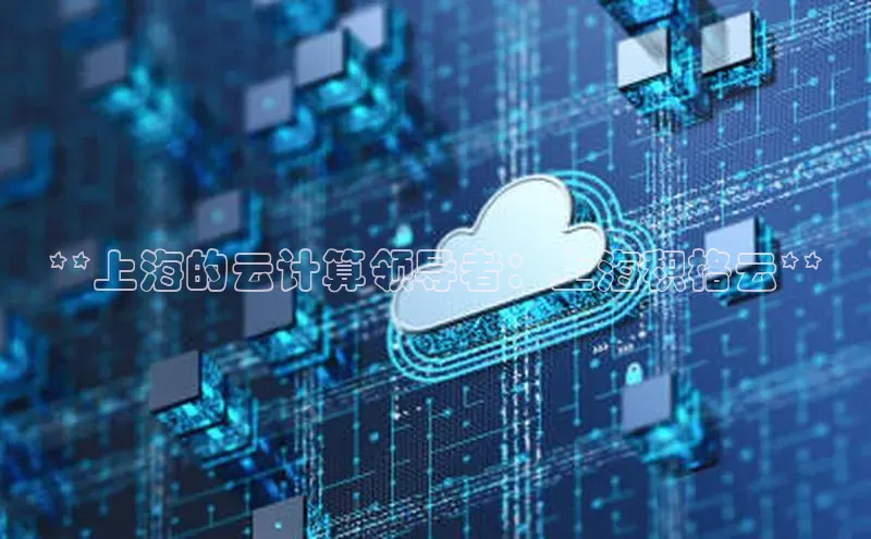 EON体育4登录百度智能门户**上海的云计算领导者：上海积格云**