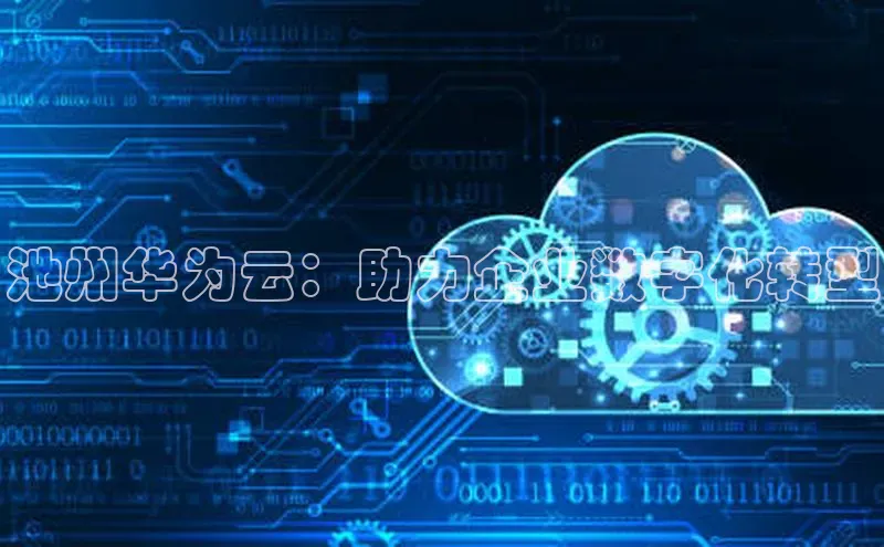EON体育4巴美列捷福池州华为云：助力企业数字化转型