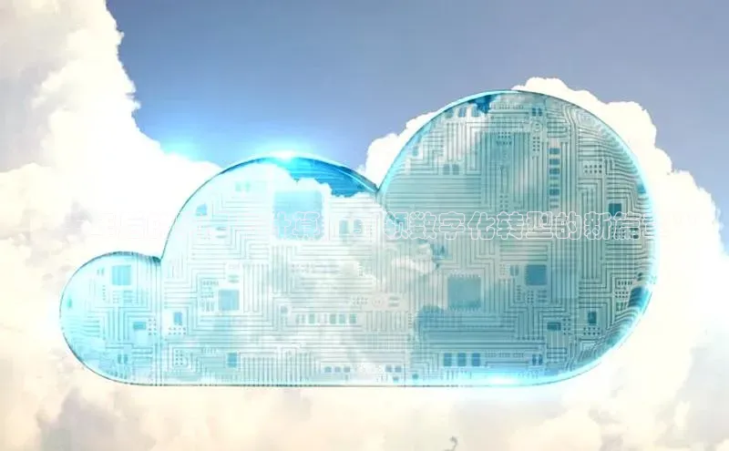 EON4ARGA公司**十年后的阿里云计算：引领数字化转型的新篇章**