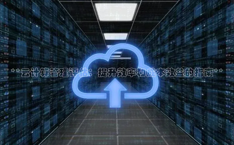 EON4官网度小满理财**云计算管理评估：提升效率和成本效益的指南**
