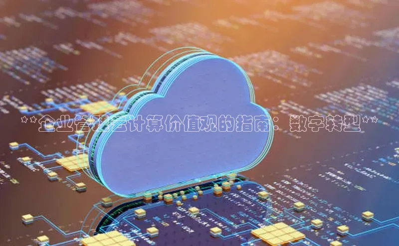 EON4代理滴滴出行**企业管理云计算价值观的指南：数字转型**