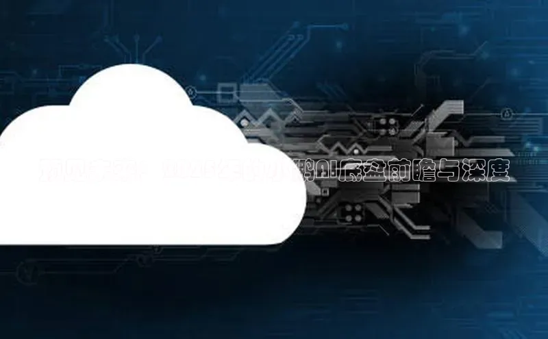 预见未来：2025年的小鹏AI底盘前瞻与深度